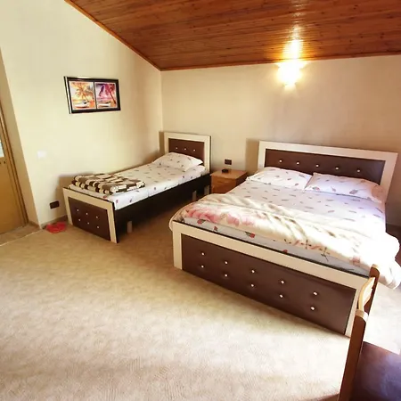 Alen Bar Hotel 3*